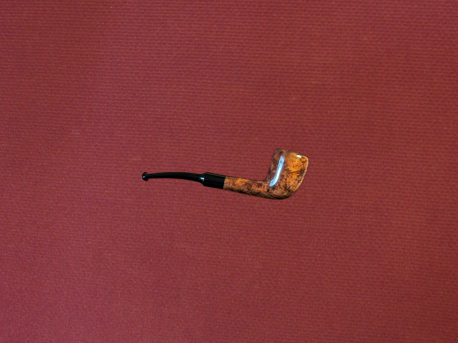 Featured image for “Acorn #7”