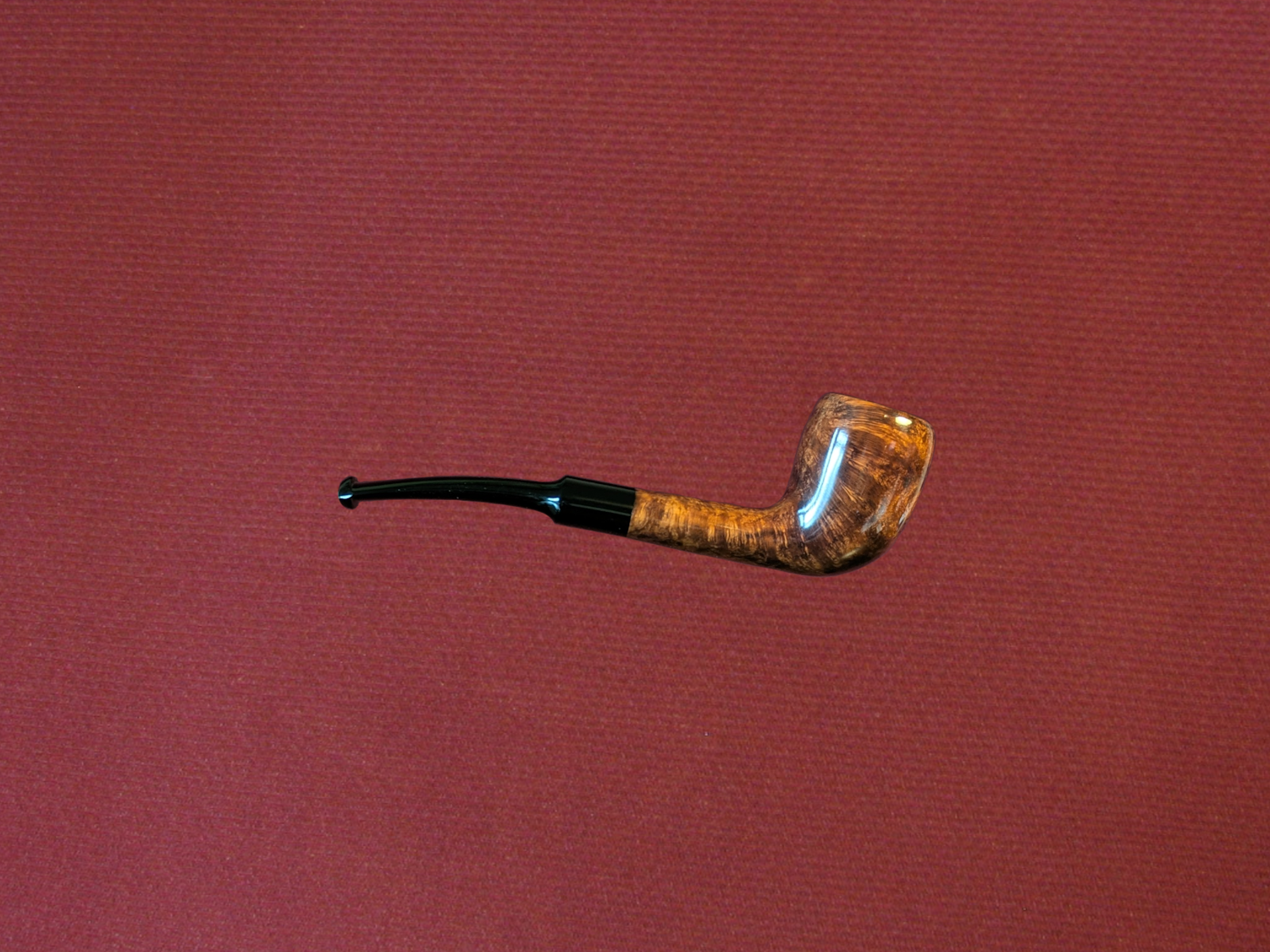 Featured image for “Acorn #8”